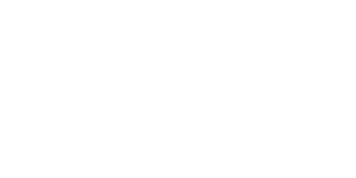 ROCHEDO-CONSULTORIA-LOGO-BRANCO-_1_